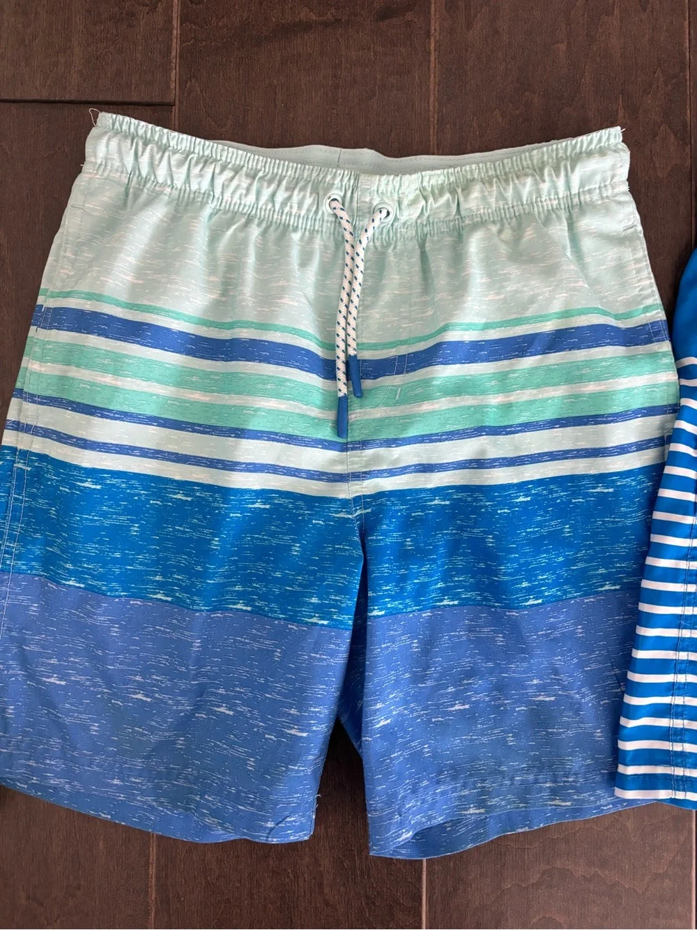 Cat & Jack Aqua, Teal & Blue Striped Swim Shorts